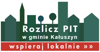 rozlicz pit