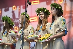 Noc Świętojańska 2025_10
